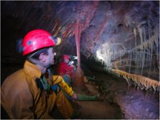 Thumbnail of photo from this article